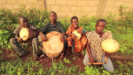 Sadik Harouna - Dakoli Nye Bia Ba