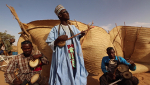 Allah Amari Ndunya, Hankuri Da Dangana
